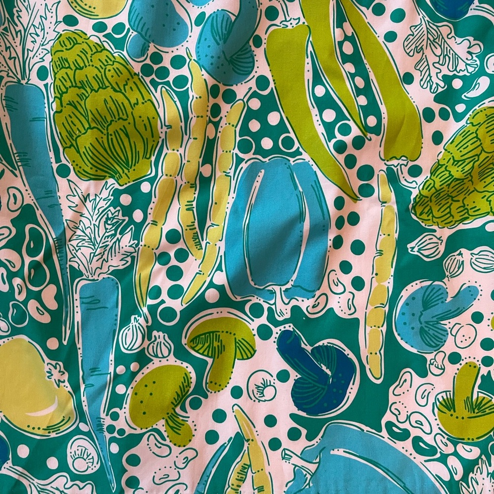 Lilly Pulitzer Steamed Vegetables Print Skirt NWT Size 6 Cotton Lined - Picture 3 of 11